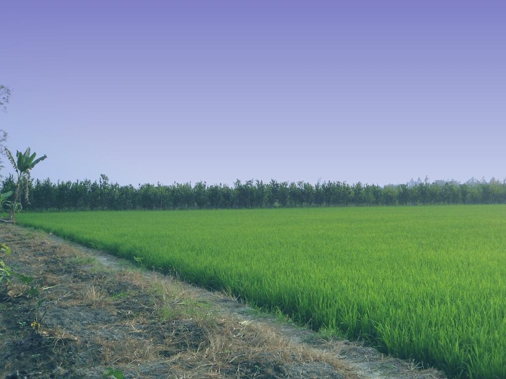 Green Village 1 껀터 외부 사진