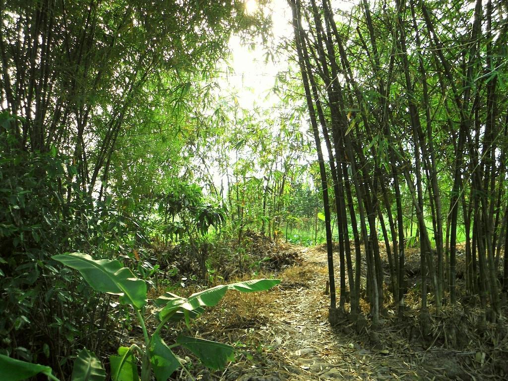Green Village 1 껀터 외부 사진