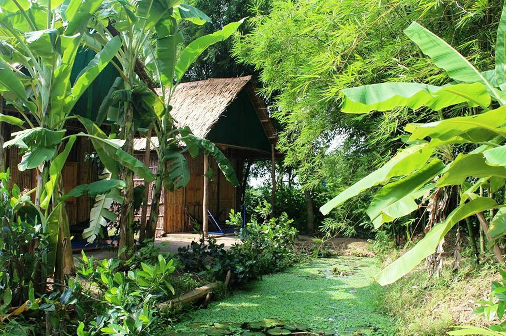 Green Village 1 껀터 외부 사진